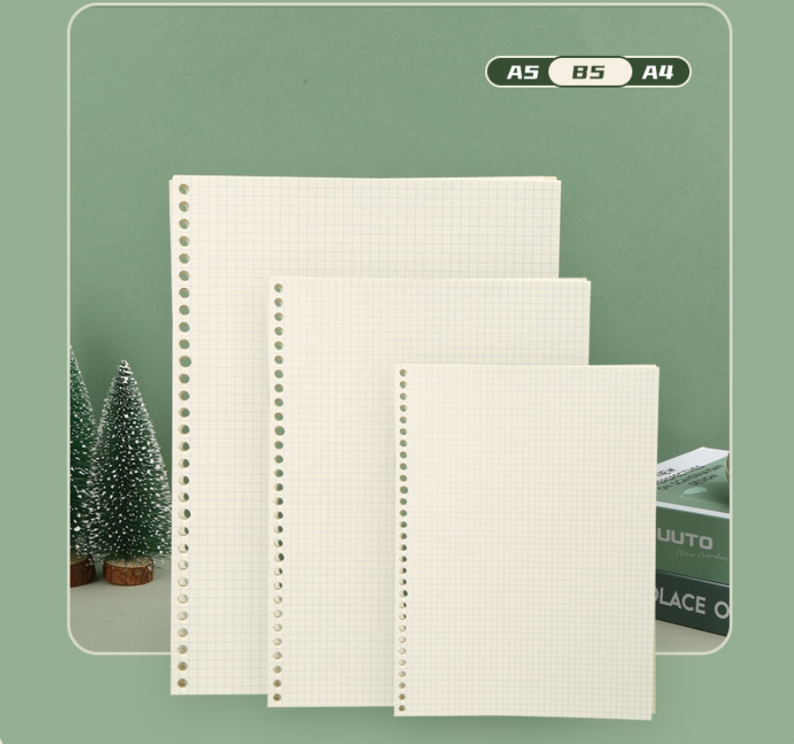 A5 B5 Siatka liniowa 20 otworó – A5 Spiral Dotted Grid Notebook recenzja i cena