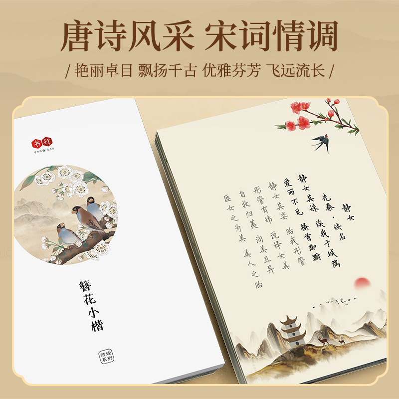 Kwiatowa spinka do włosów, mał – Chinese Calligraphy Practice Book recenzja i cena