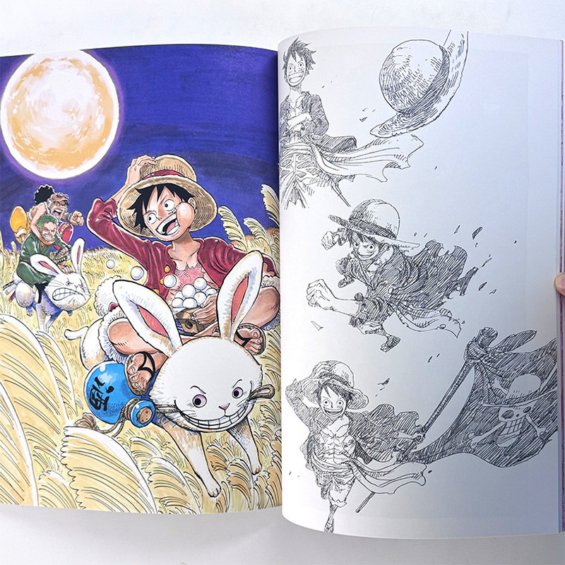 One Piece Illustration Book Co – Stationery Books recenzja i cena
