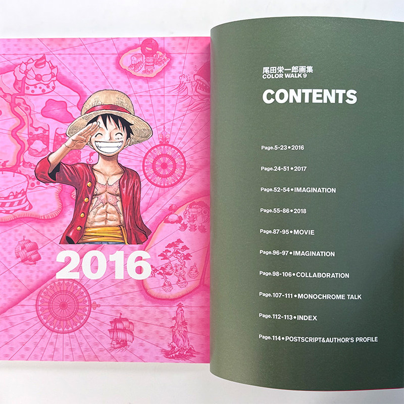 One Piece Illustration Book Co – Stationery Books recenzja i cena