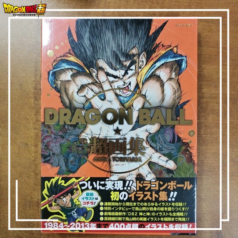 Dostępny od ręki Dragon Ball S – Stationery Books recenzja i cena