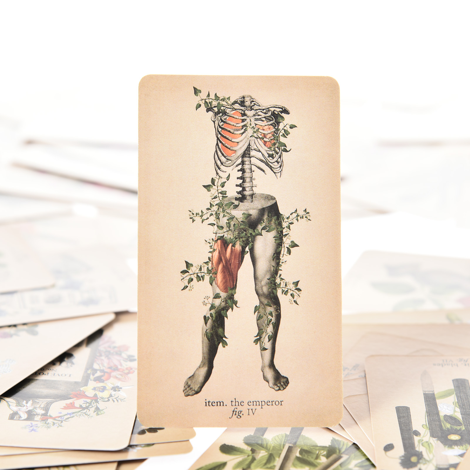 Karty Tarota „Antyczna Anatomi – Tarot Deck With Guidebook recenzja i cena